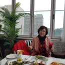 호텔더디자이너스리즈강남프리미어 이미지