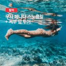 인도네시아 발리 자유 여행 일정 명소 관리를 위한 누사페니다 스노클링 서부 섬투어 패키지 후기