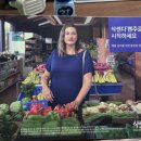 거진종로약국 이미지