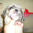 애동유치원 이미지