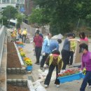 팔용산체육공원 부울경뉴스