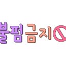 다모숲 이미지