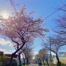 호근서호로 이미지