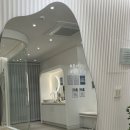 포항 장성동 필라테스: 소수 정예 그룹 레슨 4:1 캐딜락 수업 후기!_유이네스 필라테스 포항 본점