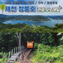 제천 청풍호 관광 모노레일, 비봉산 전망대 후기, 할인정보