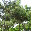 석호공원 이미지