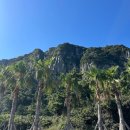 원앤온리 | 제주 원앤온리 카페 후기｜산방산 인생샷 카페, 포토존·주차·좌석 총정리