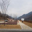 평화오토 이미지