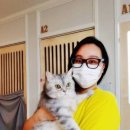 홀릭캣 이미지
