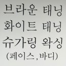 슈가탠
