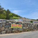 여수밤바다공인중개사사무소 이미지