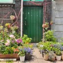 연세이비인후과 이미지