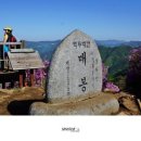 자연산악회 184차 장수봉화산 철쭉산행 안내 이미지