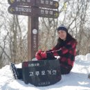임가원 Daum카페