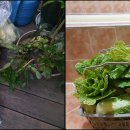 김포파주인삼농협 하나로마트 이미지