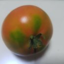 주천농장 이미지