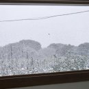 난산가옥 이미지