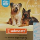 신림약국 이미지