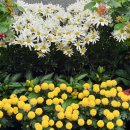 용기 행정사사무소 이미지