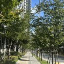 수창공원 건너 이미지