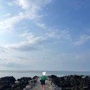 제주몹시 8월 <b>제주</b>여행 day 3 행복밀, 코시롱보리빵, 성산갈치맛집, 성신일출봉, 느랑, <b>제주</b><b>몹시</b>