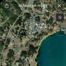 욜로피자앤커피 이미지