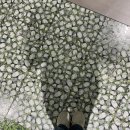 활주로 스크린 골프존 이미지