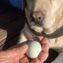 펜션 B612 이미지