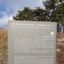 영주 류빈 묘비 및 석물 일괄 이미지