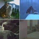 모정농장 이미지