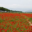 연곡주유소 이미지