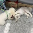 꿈의숲약국 이미지