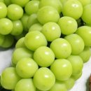 인석농장 이미지