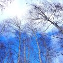 필례 게르마늄 온천 이미지