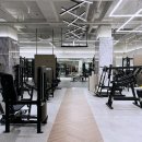 어반필드 역삼점 | 역삼역 헬스장 [ 어반필드 역삼점 ] 여성 하체 루틴 다이어트 후기! 시설 좋은 pt 맛집 추천