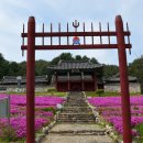 평창향교 | 평창 향교(平昌鄕校).강원