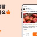 있다마켓 서울신문