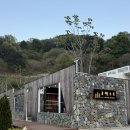 무주포레스트 | 대전 근교 풀빌라 찾는다면 무주 포레스트풀빌라 추천! (생일여행 후기)