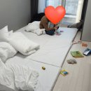 호텔벨라 | 춘천 벨라스테이호텔 숙박후기 21개월아기동반 가성비숙소 온돌방