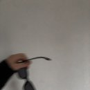 바비샌드 네이버블로그
