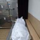 (주)프라임메디 이미지