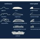 햇빛Hair 이미지