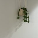 소담스테이 | [숙소/충남-천안] 천안 소담스테이 솔직 후기