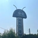 박터진흥부네 네이버블로그