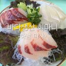 미사 횟집 바다 생산 회마니/가성비 회 정식 후기