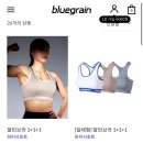 하니슈 블루