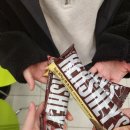 당진 저녁회식, 시아호 횟집 / 2차는 닭치고마시자