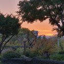 원이쌀밥 이미지