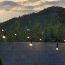 수스테이 이미지