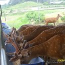 시골 농장 이미지